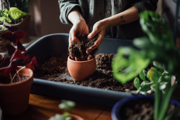 Planters & Pots